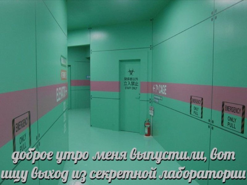 Ночная подборочка
Спать, режим