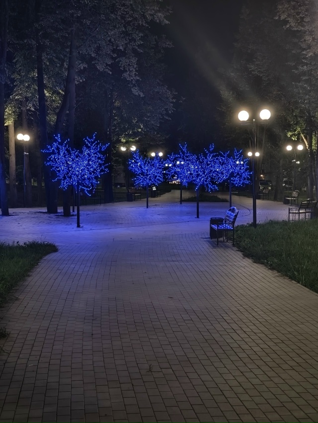 🖤 Ковровская ночь