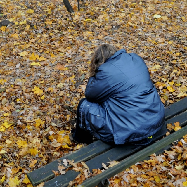 Осенью всё больше людей обращаются за помощью к специа...