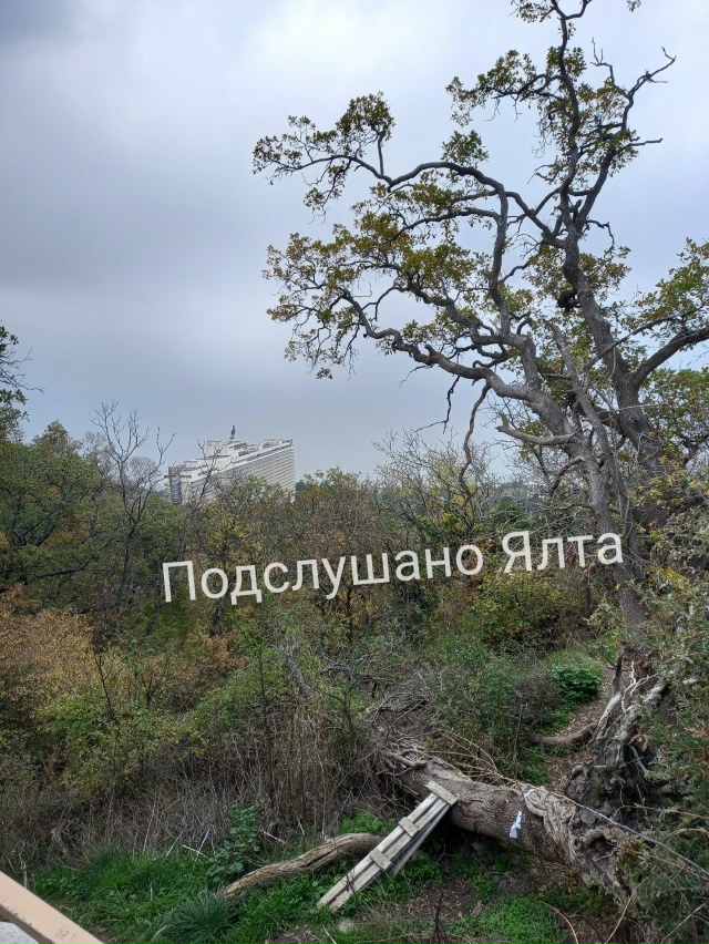 Когда закончится ремонт Массандровского парка? Или он ...