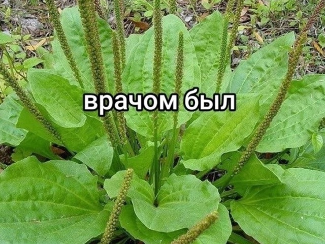 Жизненный опыт