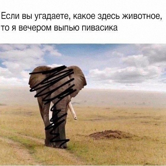 Утренняя подборочка
