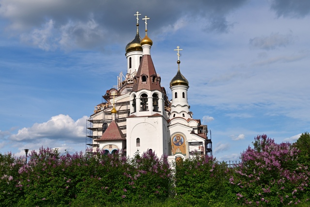 Цветёт сирень у храма в Мончегорске Мурманской област?...