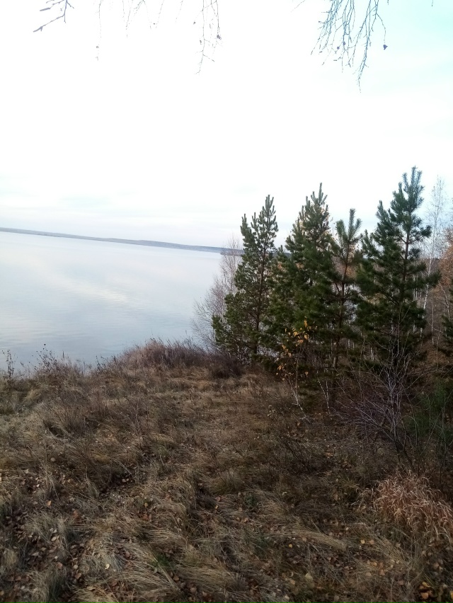 Немного позитива в ленту.На снимках-подборка № 3,прогу?...