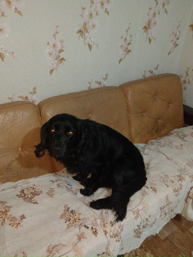 Здравствуйте уважаемые жители города Остров! Продолжа...