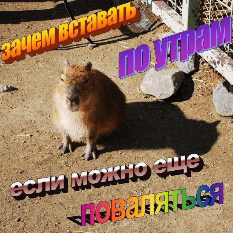Утренняя подборочка