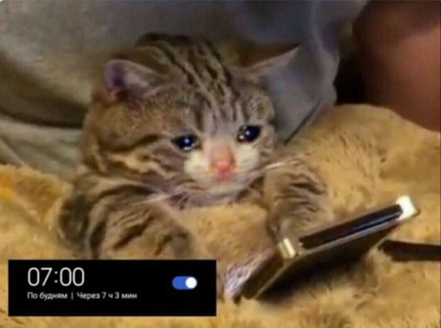 Кто тоже забыл отключить будильник в выходной?