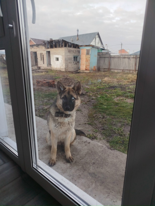 Здравствуйте помогите пожалуйста информацией кто как?...