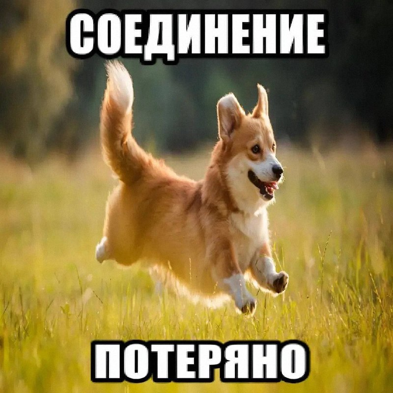 Утренняя подборочка