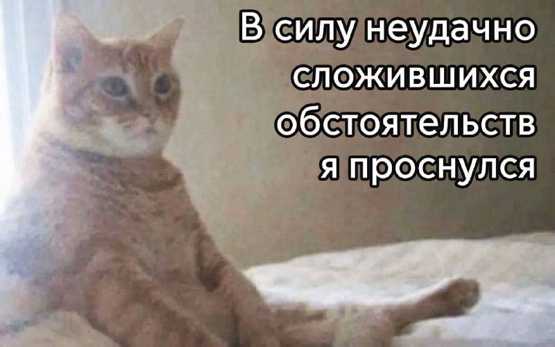 Утренняя подборочка