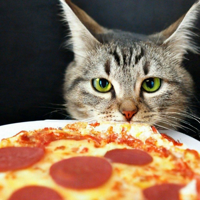 ? Сегодня отмечается День «Побалуйте себя».
Вы знает?...