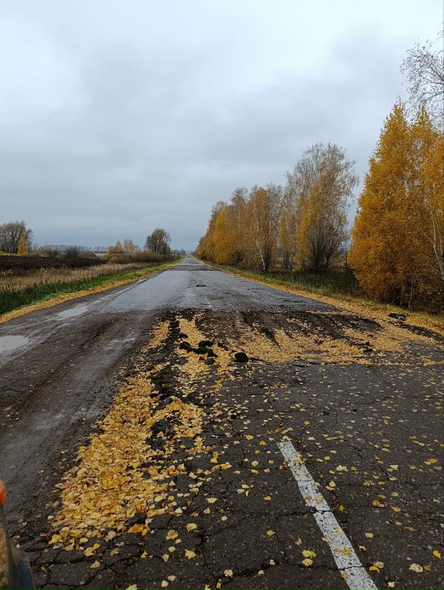 это в забелой дорога на Печенкино дальше поворота на М?...