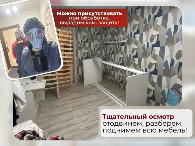 🚨ОСТОРОЖНО МОШЕННИКИ
Не ведитесь на цены в 1500₽ за об...