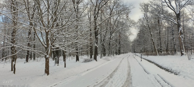 #сегоднявПетергофе 📸🐾