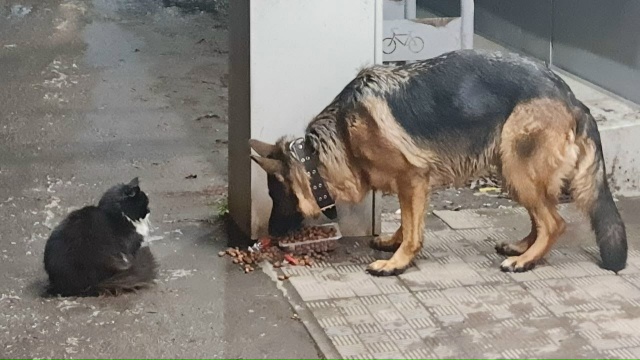 Пропустите, пожалуйста
🆘️🆘️🆘️🆘️🆘️🆘️🆘️🆘️?...