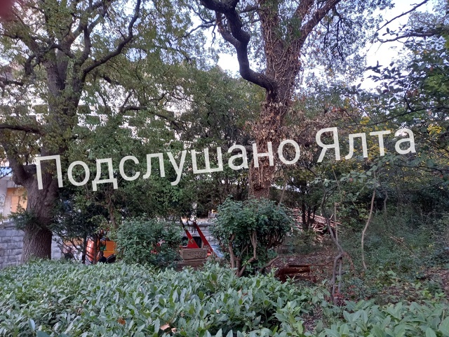 Шайба всё??? Ещё одно знаменитое место вычеркивают из ж?...