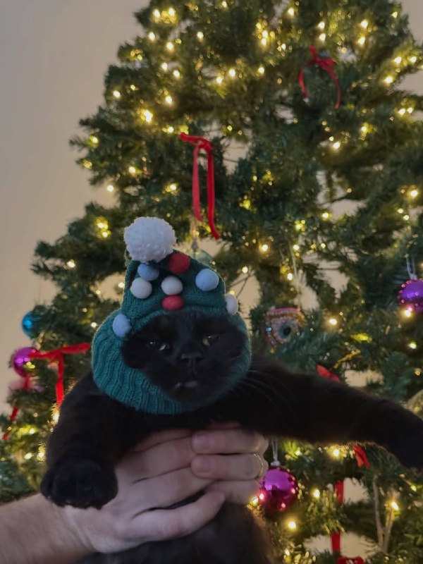 Ето я счастливый и радостный, проникаюсь новогодним духом