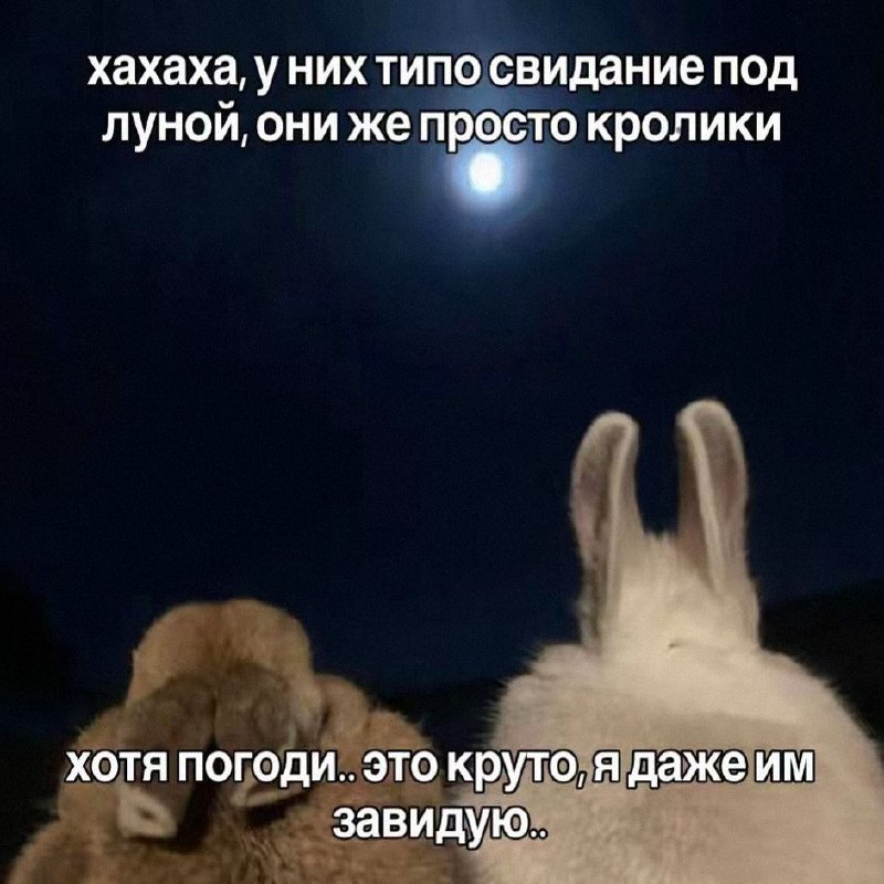 Утренняя подборочка