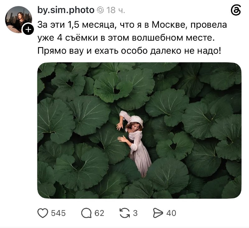 Какова красота: гляньте, какие классные фотки получаются в лопухах Нескучного сада.
Идём туда фотк