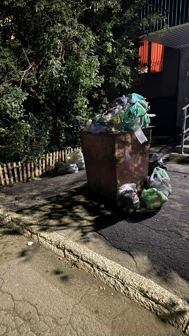 Ялтинская 94 . Постоянно мусор . Бак весь дырявый , не зав...