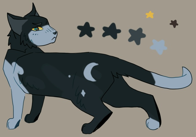 «в душе всегда была одиночкой»
Ночь / Звёздная Ночь
© j...