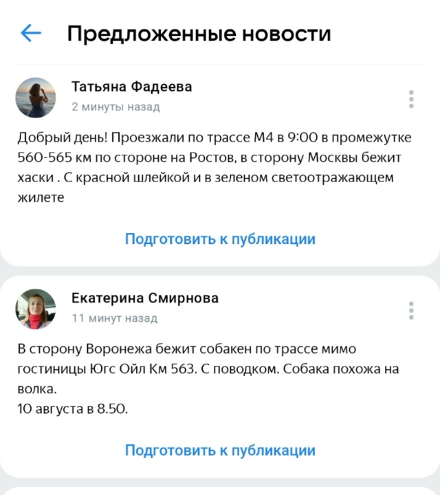 У кого там хаски в Москву собрался? Хозяева, марш собак?...