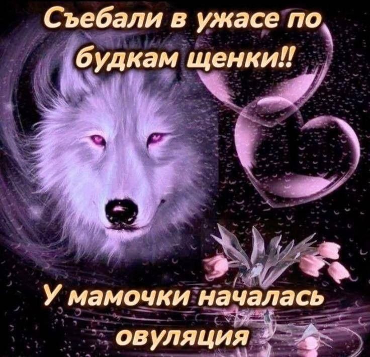 это я с ноги врываюсь в приложуху для знакомств, чтобы всех полайкать, ответить на два сообщения из