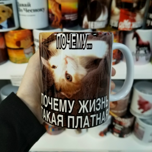 Почему...
Цена кружки: 360₽