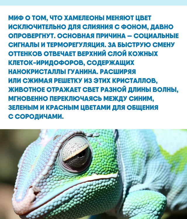 Способность природы создавать сложные системы на микр...