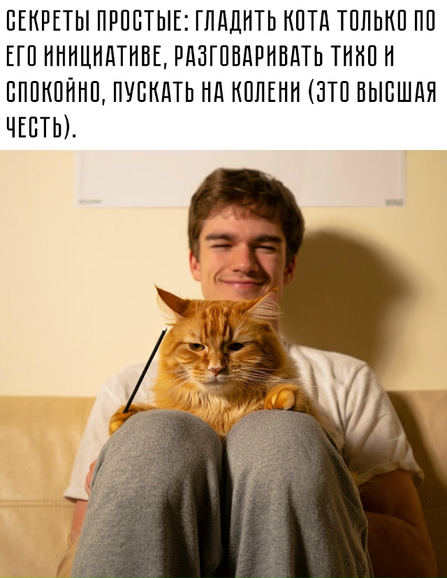 🤗 Ещё лайфхаки: медленно моргать в ответ, слушать мурч...