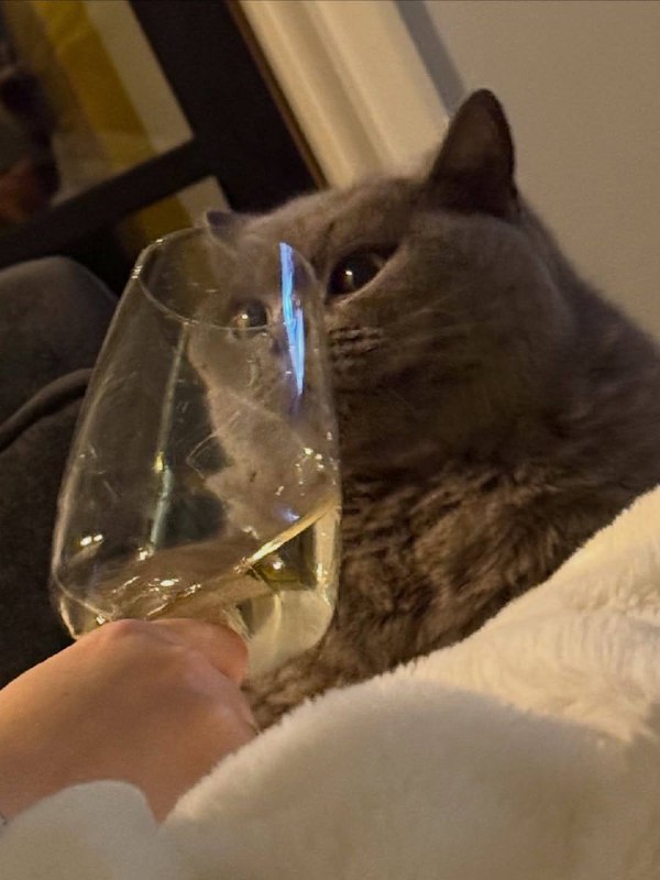 Оо пьятничька