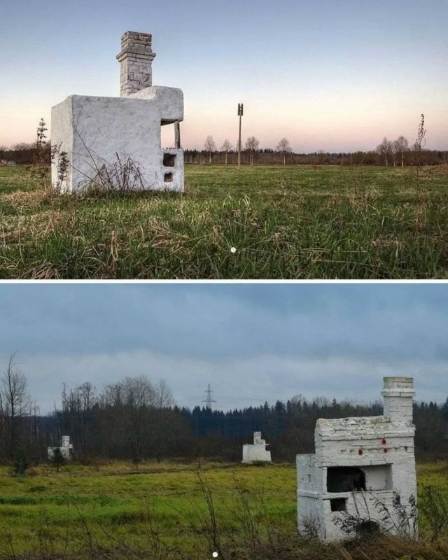 В Ленинградской области, вдоль одной из сельских дорог...