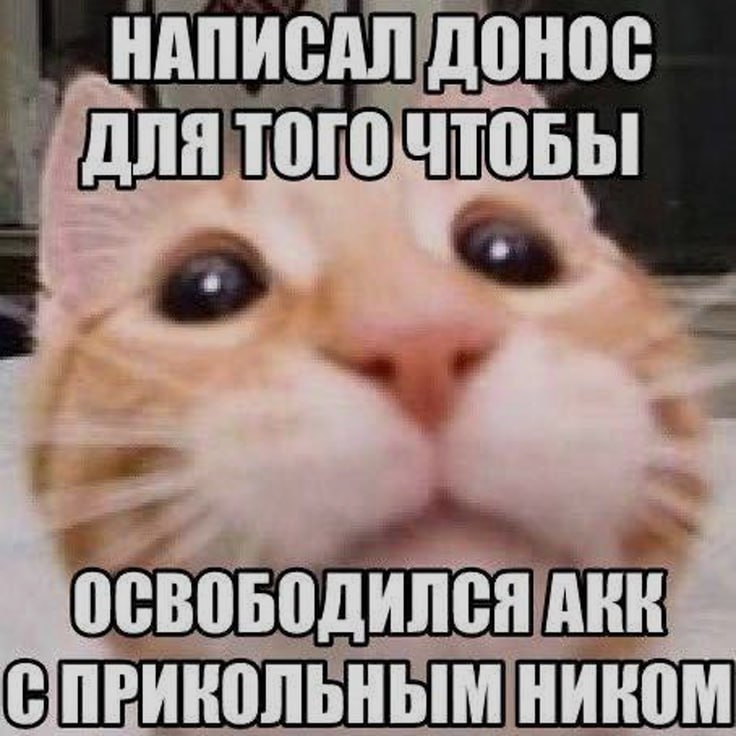 Ночная подборочка
Спать, режим