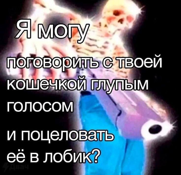 я каждый раз в гостях у друзей, у которых есть кошка: