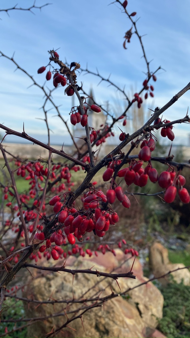 В гостях у известного художника Сергея Васильевича Ге?...