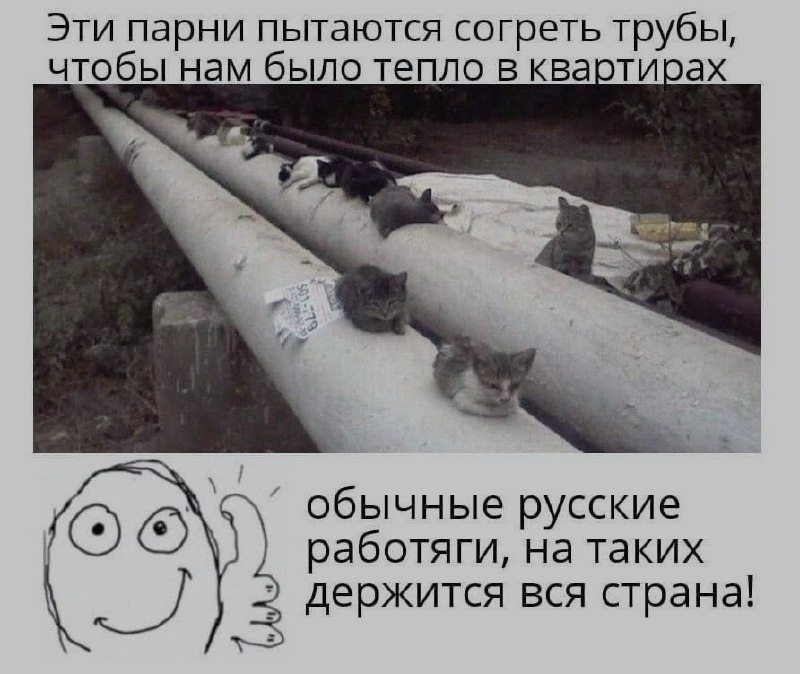 Ночная подборочка
Спать, режим