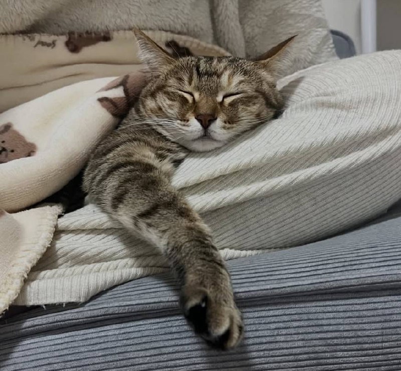 Споть изо всех сил :3