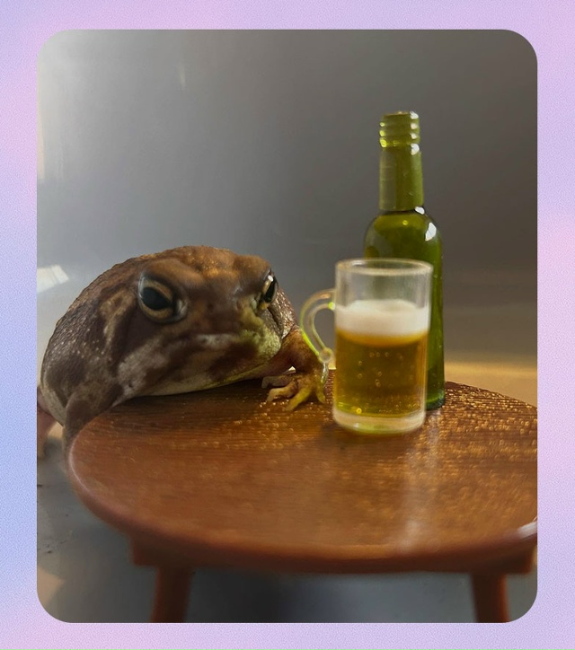 Среда, мои чюваки!