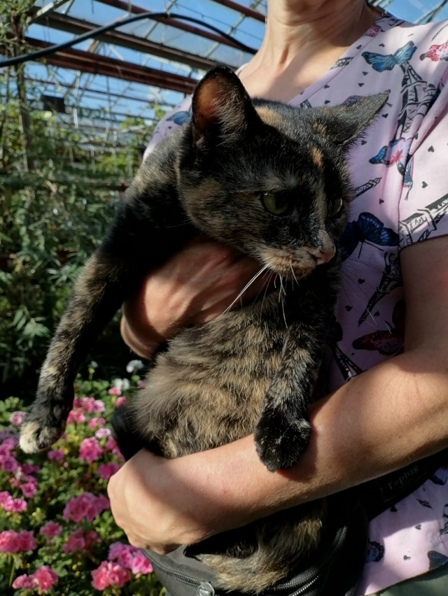 💛Трёхцветное счастье в ожидании своей семьи!🖤
Крас...