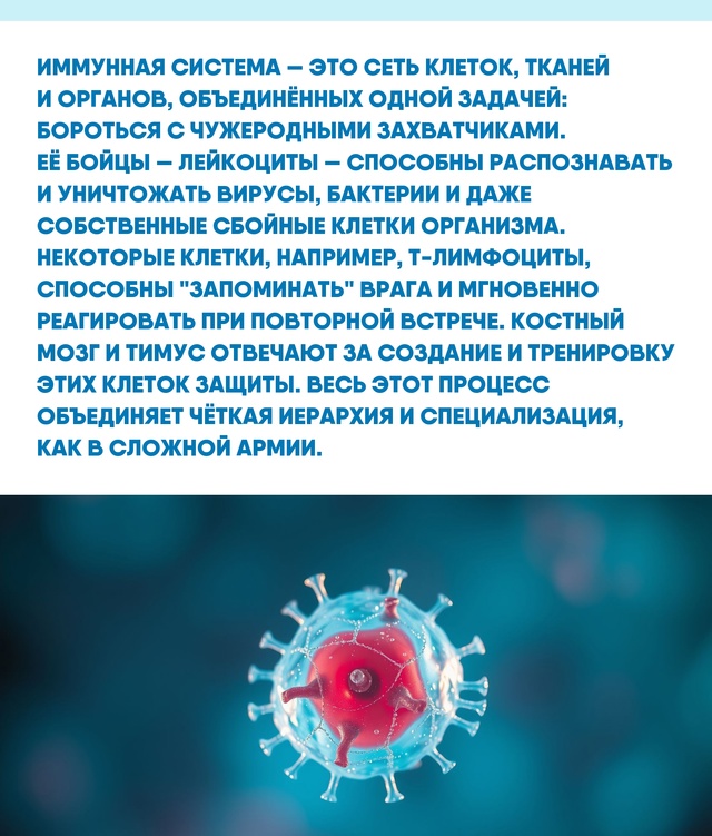 Иммунитет постоянно учится и совершенствуется, подстр...