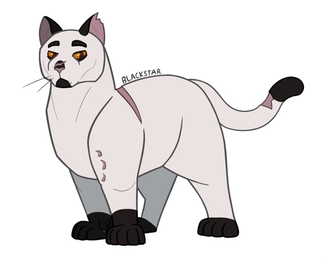 Чернозвезд
© aleadom
#KV_ZZ_ART