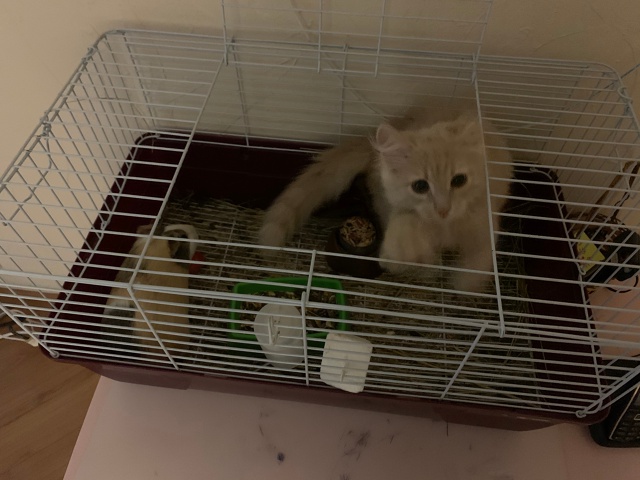 Моменты
Взросления Томасика