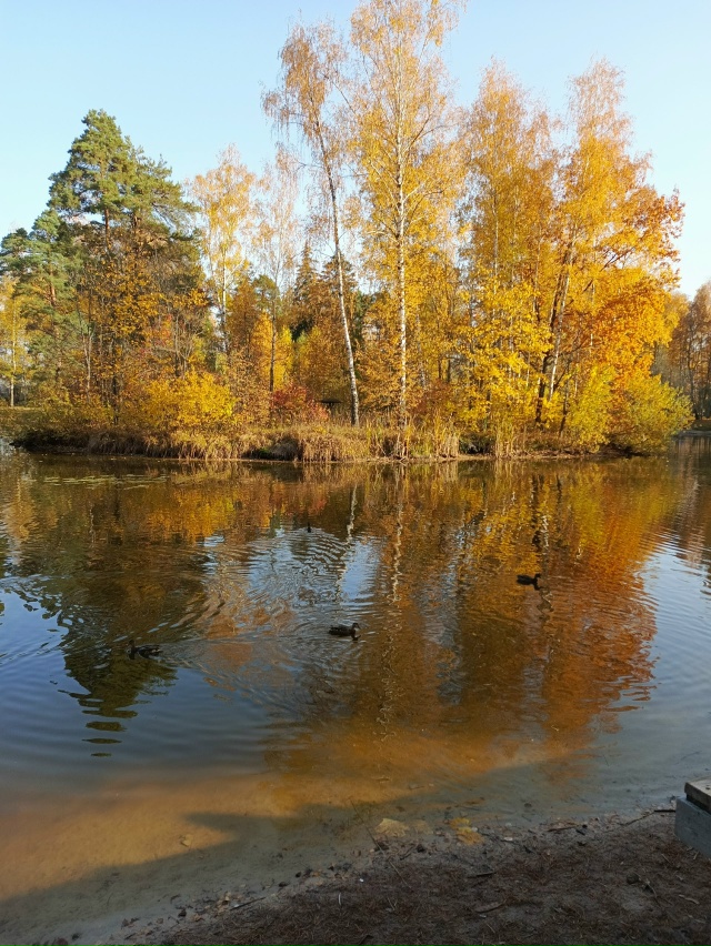 Осенней поры пост!
Анонимно.