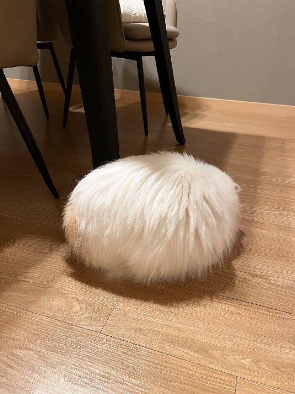 Тайна белого шара раскрыта