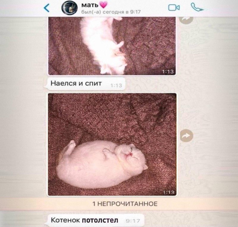 Недосып почти вдвое увеличивает риск ожирения, установили ученые.
Те, кто спит меньше 6 часов в сут