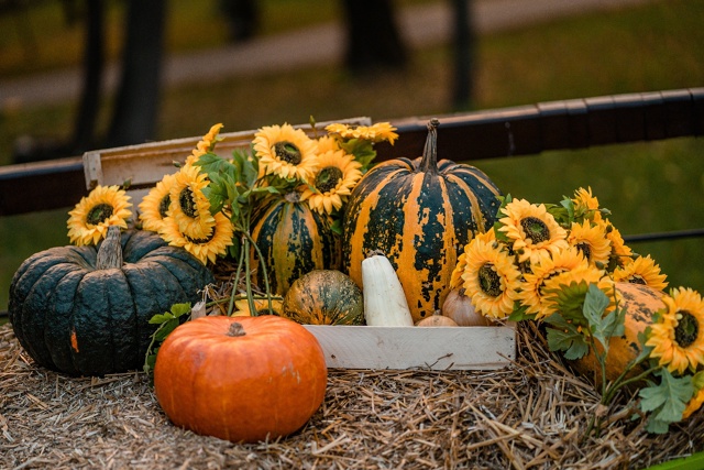 Осень в парке ... 🍂🍁 (Раменский парк 04/10/2025)