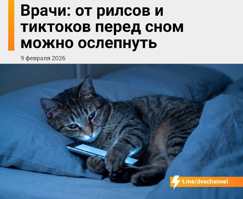 От просмотра рилсов и тиктоков перед сном можно ослепнуть, предупредили врачи
Листание ленты в полн