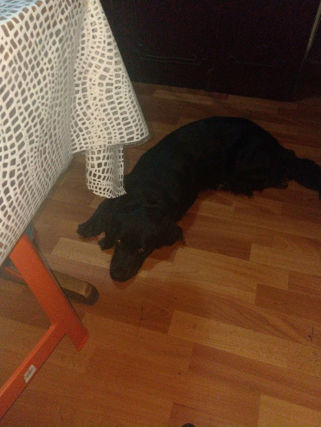 Здравствуйте уважаемые жители города Остров! Продолжа...