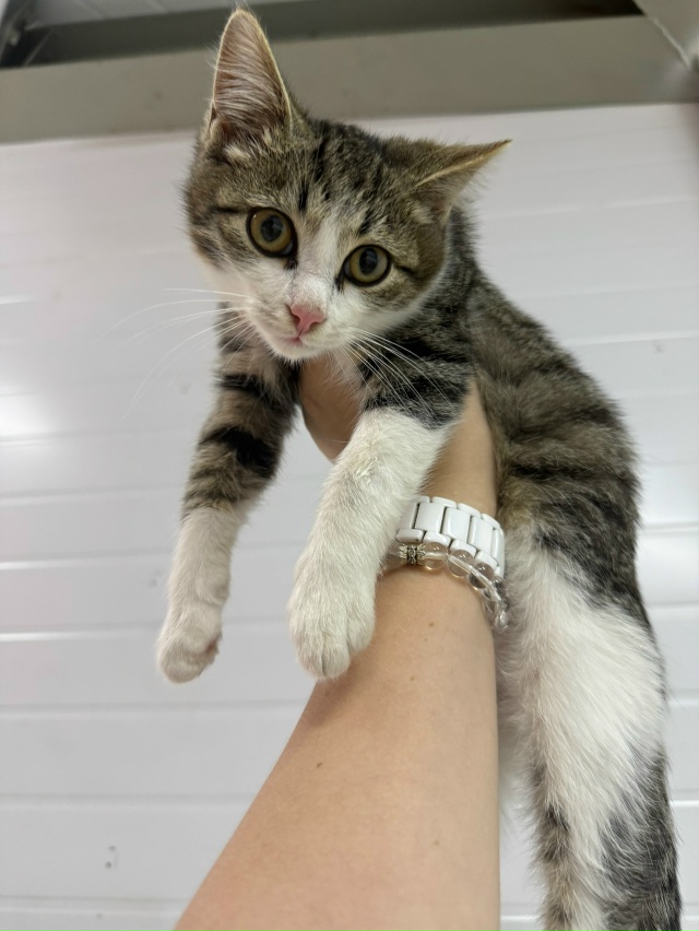 Прибились две красивые девочки, сейчас будут нескольк?...