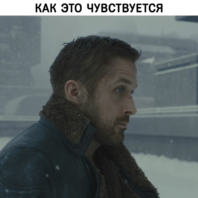 Такова жизнь...